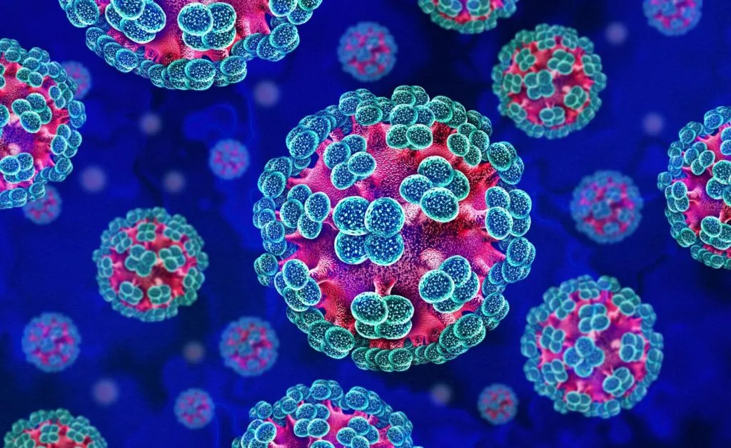 Hantavirus: What You Need to Know